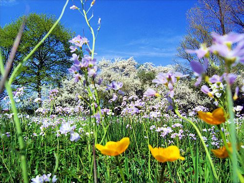 blog